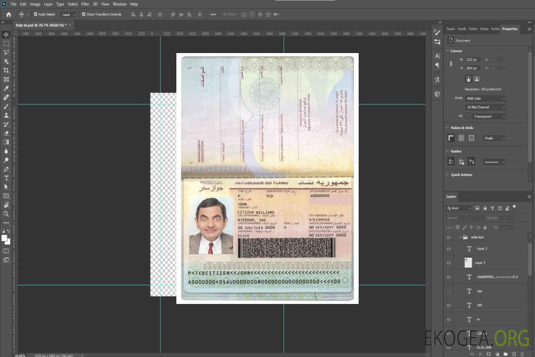 Passeport du Tchad (République du Tchad) template